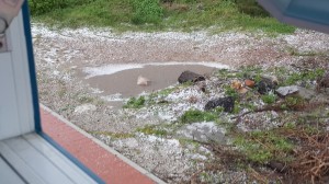 All that white stuff at the side of the road.... hailstones!