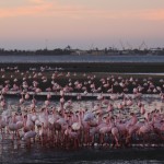 walvis bay