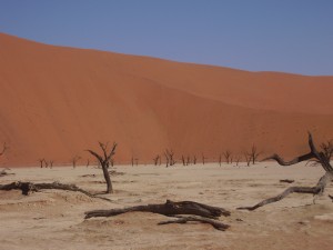 A deserted and eerily silent Sossussvlei on our visit in 2007. Not quite the same experience in 2014