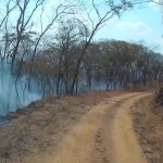 bush fires