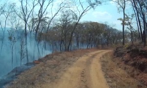 Bush fires - spoiling our views!