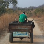 Held up by traffic - 'total gridlock' Zim-style