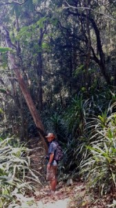 Looking for Tarzan in the Ntchisi Reserve jungle