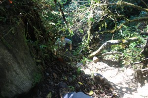 Julie contemplating one of the steep bits!