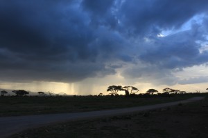 rains amboseli