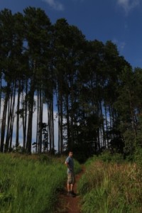 Walking in the Viphiya Forest Reserve