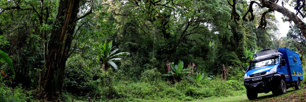 cuthbert in tanzania jungle