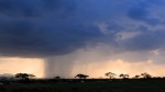 Amboseli rain