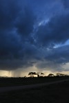 Amboseli rain