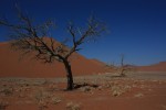 Sossussvlei Namibia