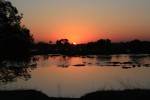 zambezi sunset