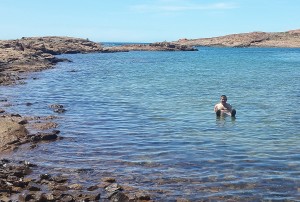 ocean swimming Patagonia