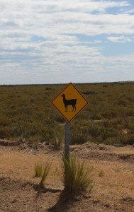 Patagonia sign