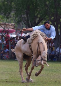 gaucho festival argentina