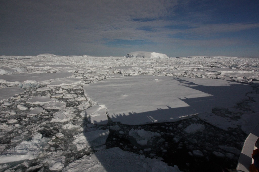 Antarctica