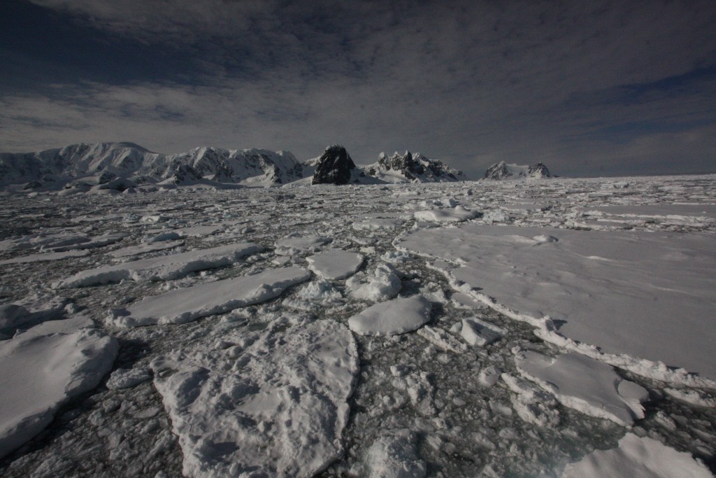 Antarctica