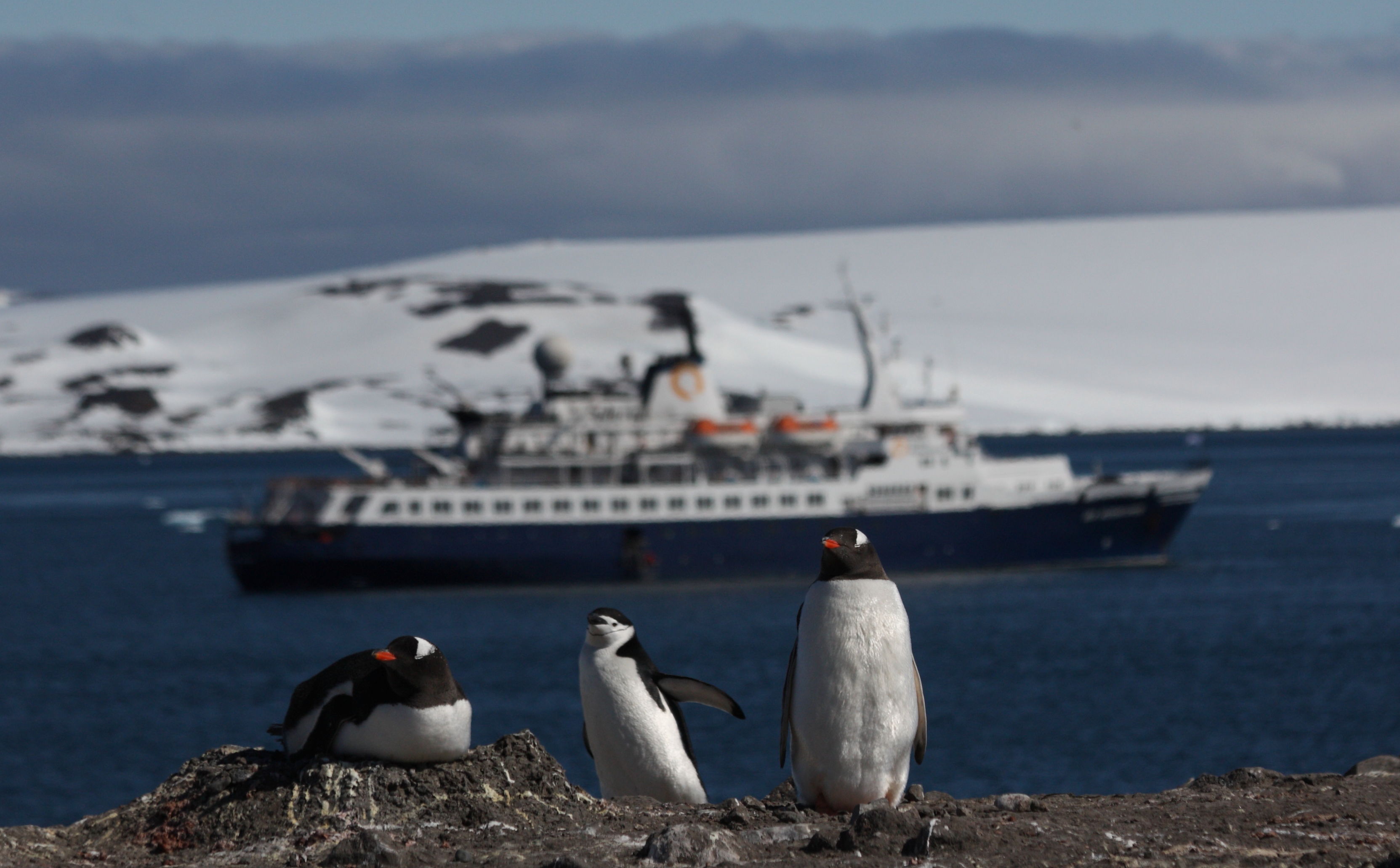 Antarctica cruise ship