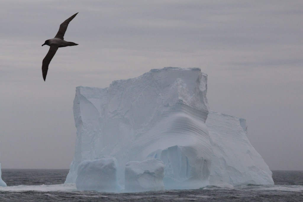 iceberg Antarctica