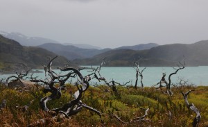 Torres del Paine Chile