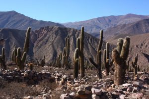 Northern Argentina