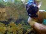 river snorkelling Bonito Brazil