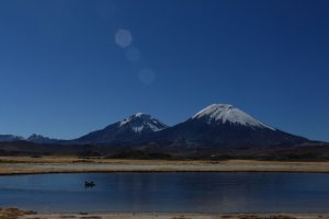 Bolivian Altiplano