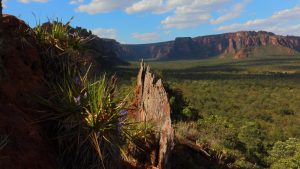 chapada guimaraes brazil