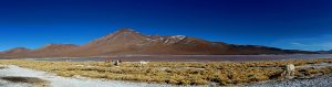 Red Lagoon Bolivia