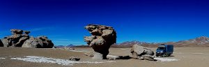 Stone Tree Laguna Route Bolivia