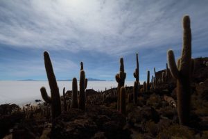 Salar de Uyuni Bolivia