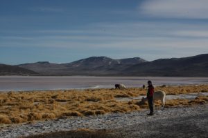 Laguna Route Bolivia