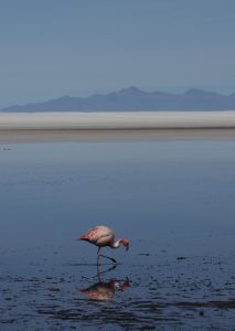 Salar de Uyuni Bolivia