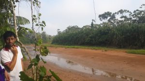 dry amazon tributary