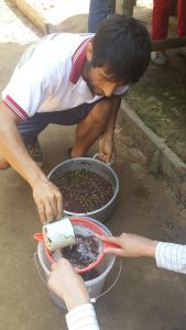 making acai juice