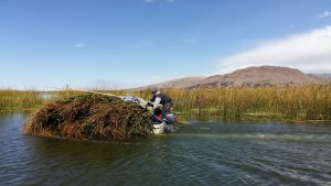 Reed Islands Lake Titicaca