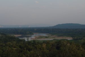 Bolivian Amazon jungle