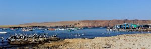 Paracas Peru