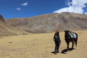 Peru horseman