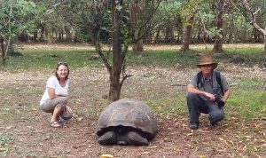 giant tortoise Galapagos