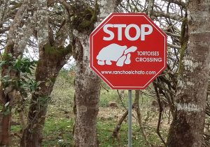 Galapagos tortoise sign