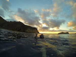 Galapagos snorkelling