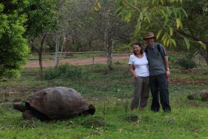 Giant tortoise Galapagos