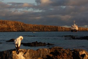 Galapagos cruise