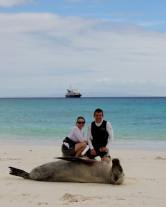 Galapagos beach seal