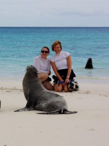 Galapagos beach seals