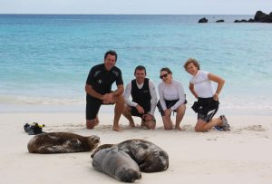 Galapagos beach seals