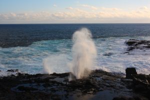 Galapagos blow-hole