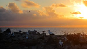 Galapagos sunset