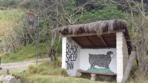 black sheep inn ecuador