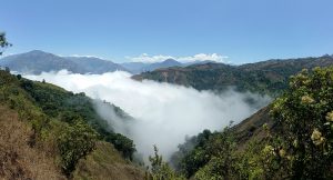 ecuador cloudforest